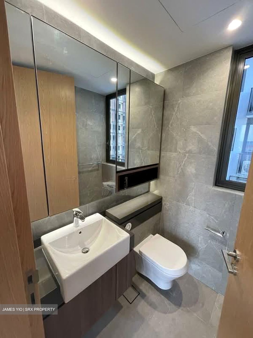 Midwood (D23), Condominium #563012481
